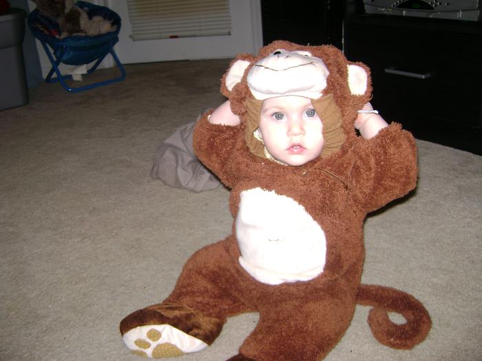 Brianna the monkey