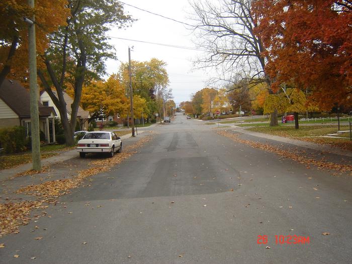 Autumn on my street. This was taken in front of my house. Looking north