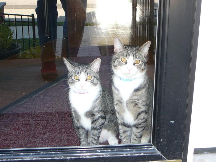 door watchers