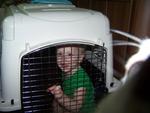 Putting himself in the dog kennel