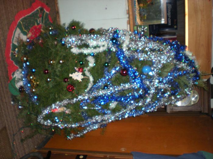 another view of the lovely tree....lol