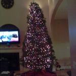 Here is my crazy big Christmas Tree