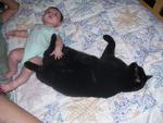 Oh yes, he is a HUGE cat..