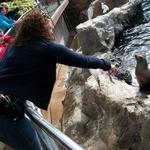 feeding sea lions!