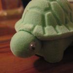 Velvety turtle 