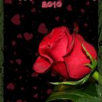 Happy Valentine's Day to All