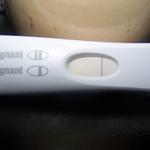 Yep, it's grey here's a perfect, heart breaking example of a FRER evap line. :.(