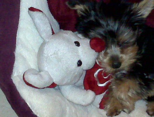 She~She loves her teddy;-)))