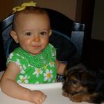 Addy and her new puppy Marley 11 mos.
