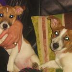 pixie on the left with her brother patch ,