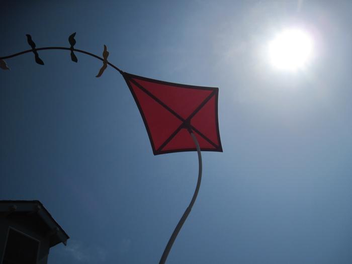 Zoo kite <3
