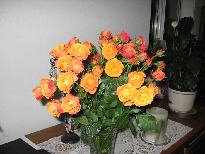 roses from Howard..i love them!!