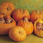 pumpkin heads