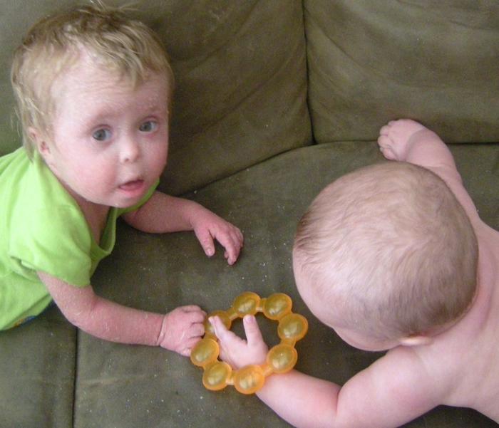 TJ and mason trying to get a teething ring. TJ wanted it just to have it but mason wanted to chew it