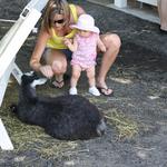 She was scared to death of the goat :)