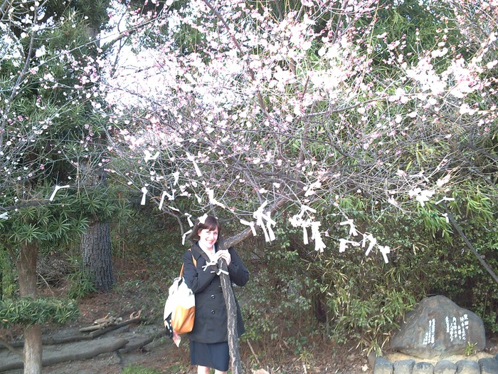 adding a prayer to a plum tree in Osaka, Japan, outside a Shinto Temple