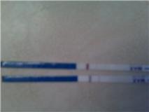 don't know if yu can see but this at 14 dpo