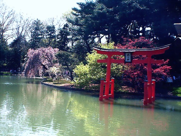 Japanese Pond Garden @ BBB