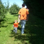 Walking with daddy through the orchard
