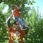 Apple picking over the weekend