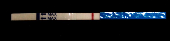 12dpo ...I think it's a bfn.. but I see things haha.. more than likely it's nothing what do ya think