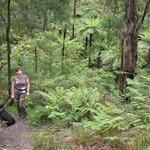 Me in the regenerated bush land near where I live Nov 14  2010