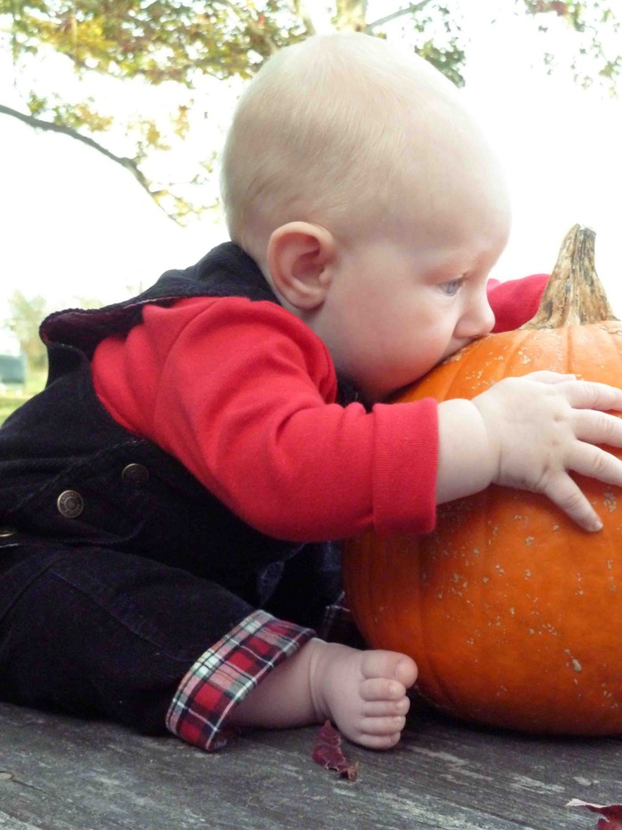 Mmmmm! Yummy pumpkin!