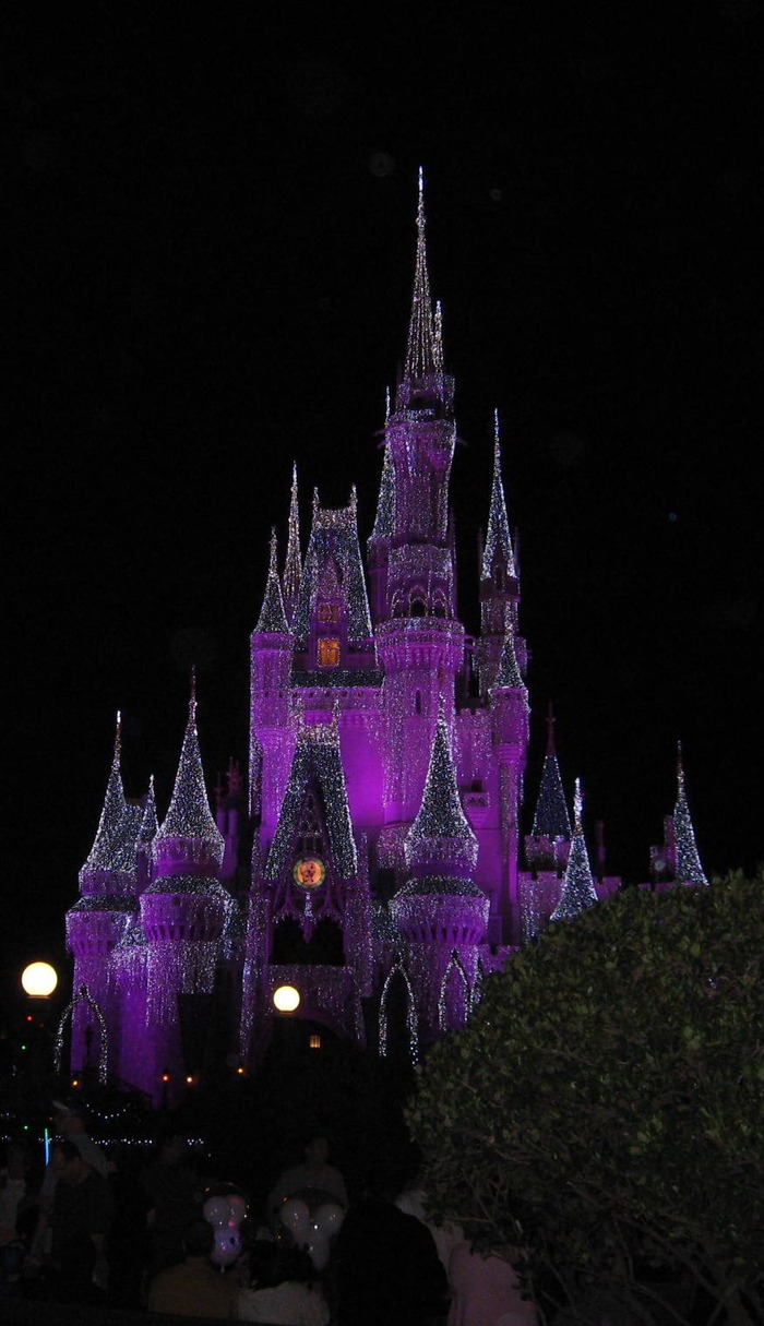 The Magic Kingdom castle all iced out for the holidays