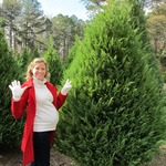 Picking out our Christmas tree!  7 1/2 months