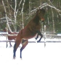 my baby playing in the snow
