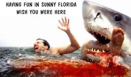 gotta love Florida