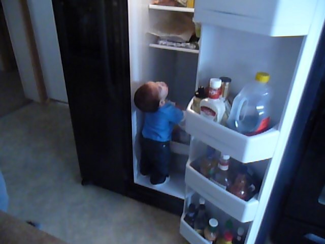 my grandson in the fridge lol