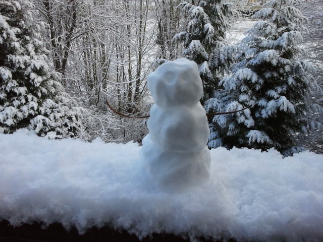 Your morning snowperson reporting from Tualatin...yesterday.