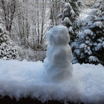 Your morning snowperson reporting from Tualatin...yesterday.