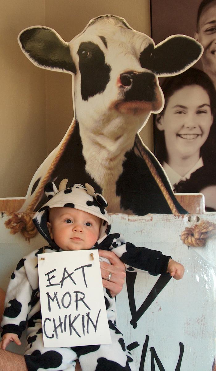 Chick-Fil-A cow costume (Halloween 2007)