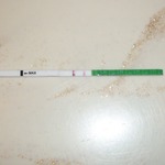 I have no more hpt's, but this is an opk. Still + after 3 weeks ago my hcg was only in the 400's