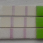 top one is 12dpo, middle is 13dpo and bottom is 14 dpo (yesterday)
