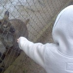 Liz with Mr Wallaby