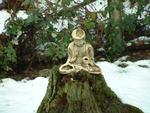 The Buddha Stump