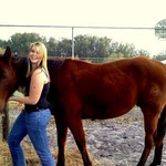 Dollar - Sweetest horse you'll ever meet, more like a puppy dog - TB gelding