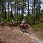 Trail ride with Daddy<3