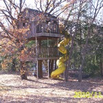 tree house at the lake house!!