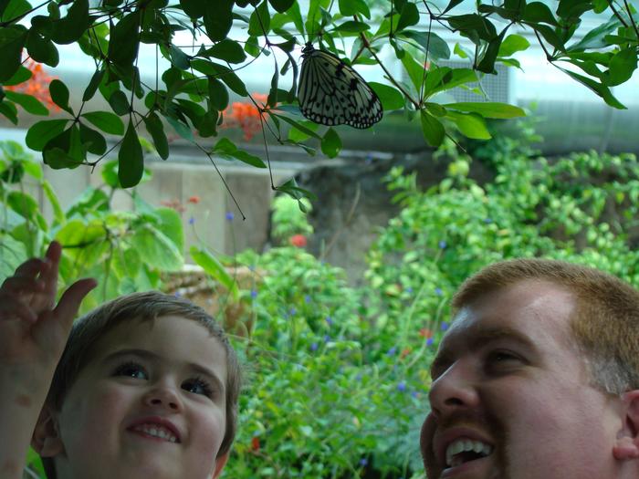 Mason & daddy looking at a butterfly  7-2-08
