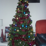 2011 Christmas Tree, up on 19th November, lol
