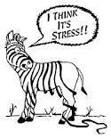 zebra stressed