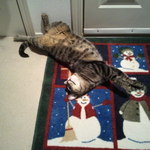 Beau loves the Christmas rug!