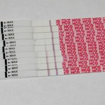 8,9,10,11,12,13,14, 15, and 16dpo