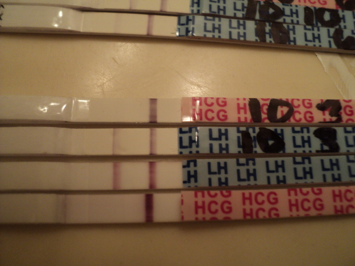 Latest 4, from 10dpo @3p and 11dpo@6:30a