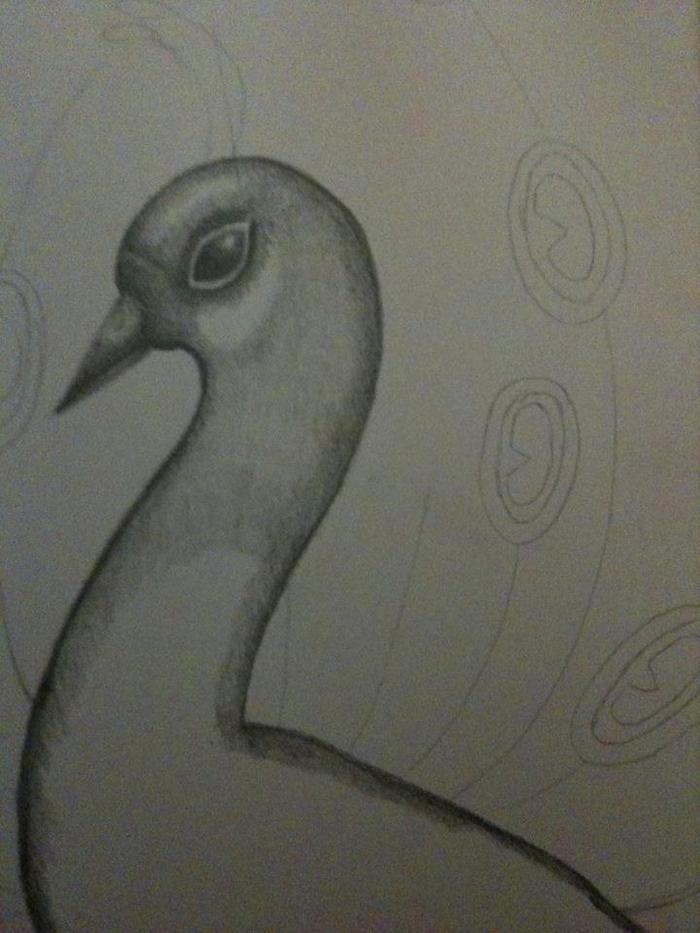 Workin on this right now,it's my proud peacock :)