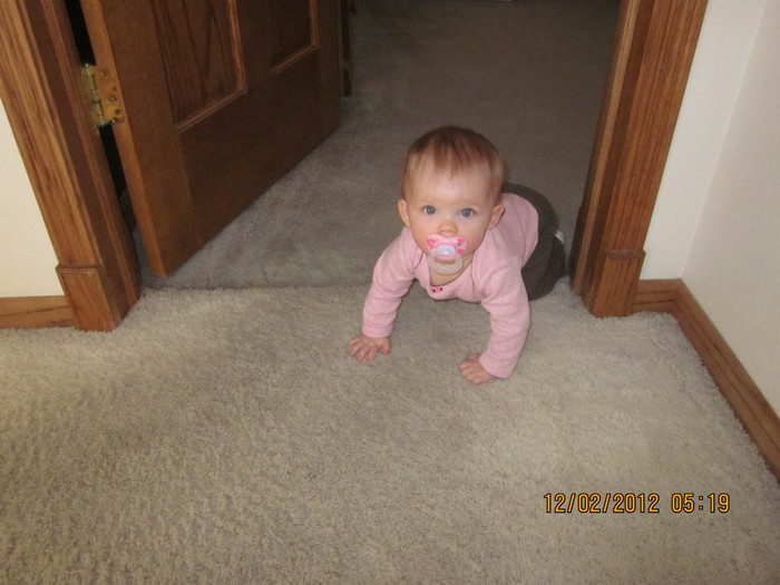 She's crawling all over the place (2-12-12)